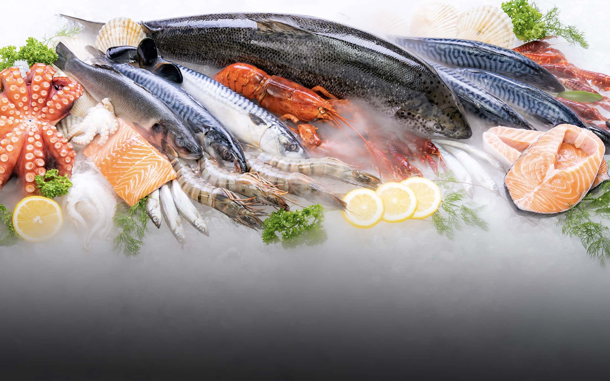 Bercy de Bercy - Distribuzione alimentare nel levante e ponente ligure