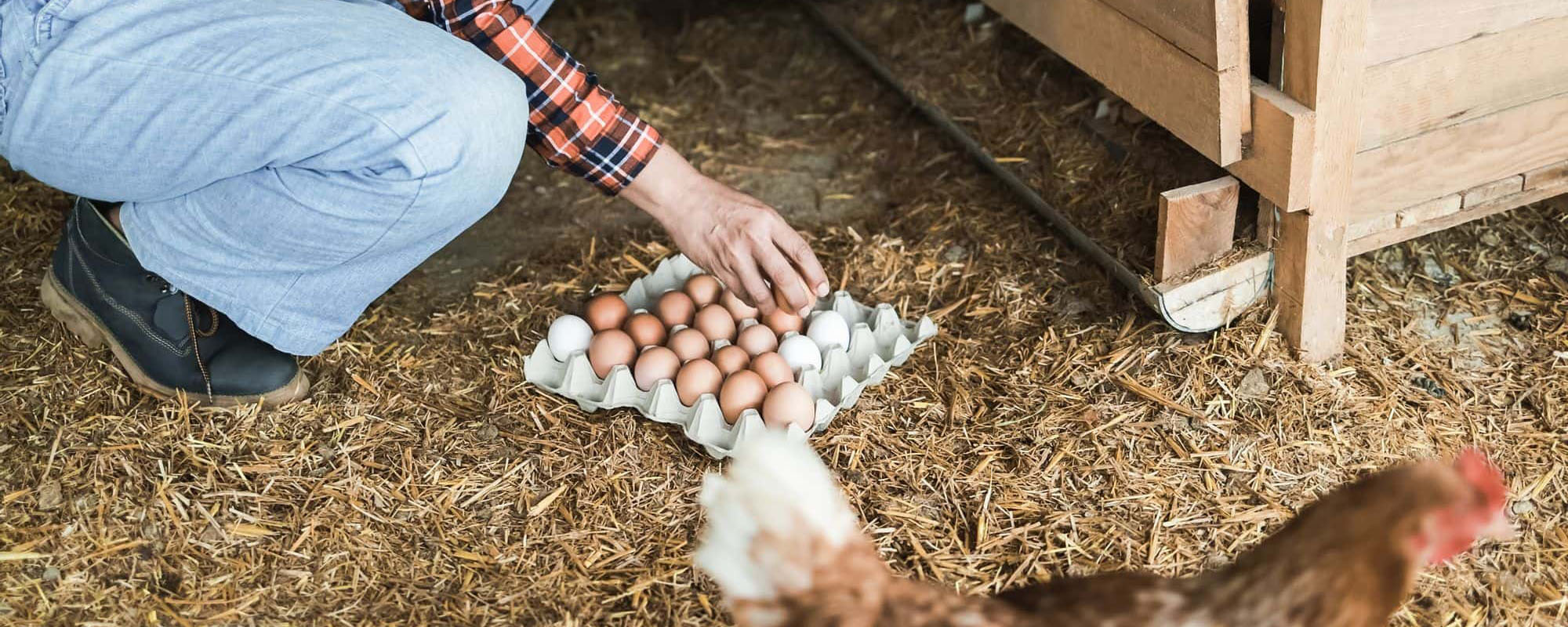 Bercy de Bercy - Chi siamo