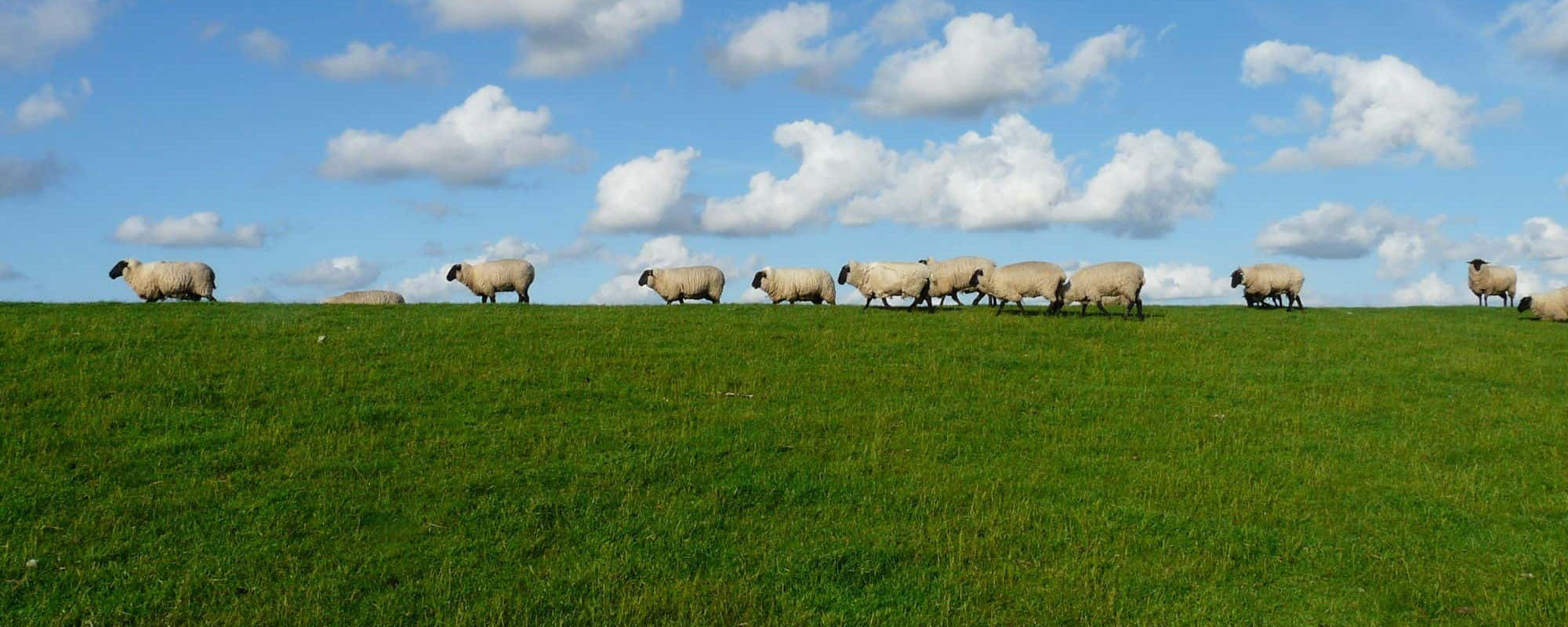 Bercy de Bercy - Formaggi, latticini e prodotti certificati